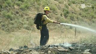Reagan Library Brush Fire Saved By Firefighters 