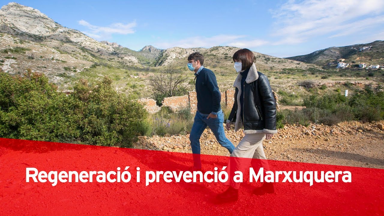 Conclouen les actuacions de regeneració en les zones afectades per l’incendi d’agost de 2018