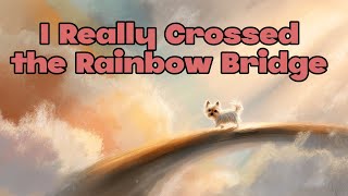 I Really Crossed the Rainbow Bridge, my friend 🌈 | A Dog's Message to You | Emotional Music Video