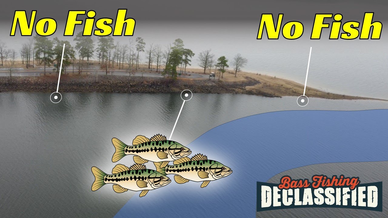 Winter Bass Are NOT Where You Expect – Don't Get Left Out! 