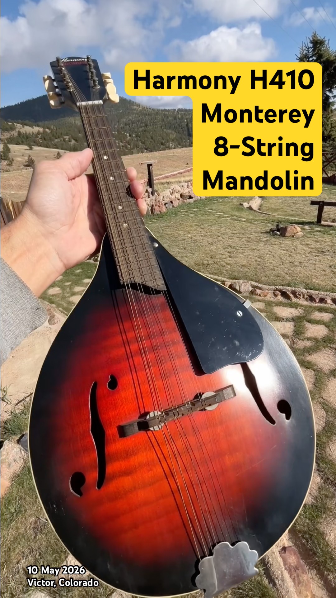 HARMONY MONTEREY マンドリン H410 Late 60s/early 70s Harmony H410 Monterey archtop 8-string mandolin