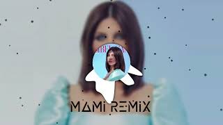 Sibel Can - Bil Diye Söylüyorum (Mami Remix) Resimi