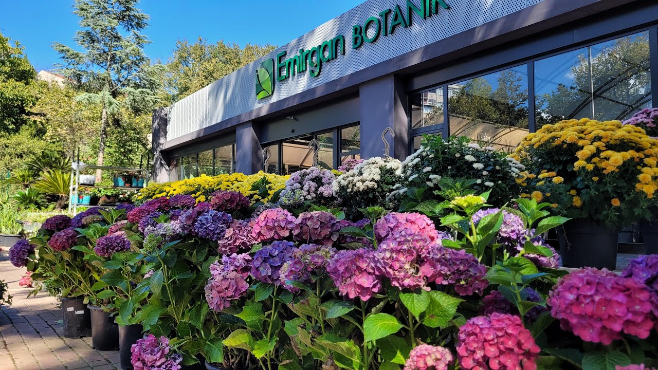 Emirgan Botanik Sera Gezisi