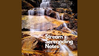 Streamside Reveries in Time