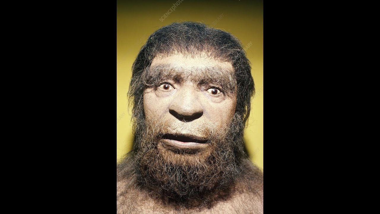 invideo ai 1080 The Epic Journey of Human Evolution 2024 10 04 - YouTube