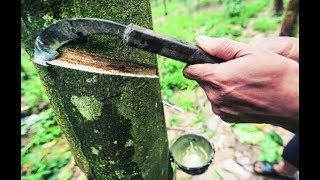 How Rubber Is Made: History Of Rubber - Educational Videos