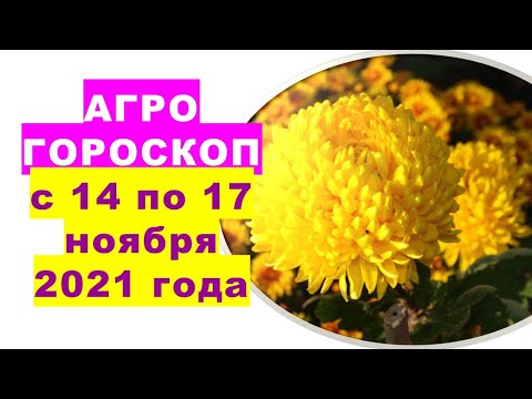 Агрогороскоп 2021 жылдың 14-17 қарашасы