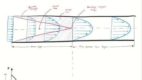 Developing vs Fully Developed Flow