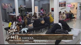 Zadruga - Jelena, Kija I Ana Pričale U Šiframa - 08.02.2018.