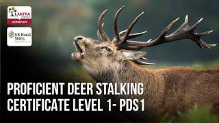 Thinking About a Deer Stalking Qualification? Watch This First