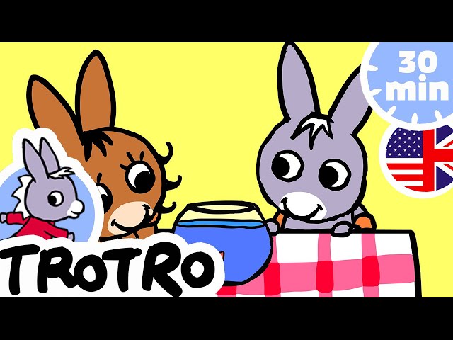 TROTRO ENGLISH - 🌞1 hour🌙 - Compilation #01 - Trotro the cook 