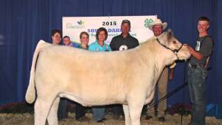 Taylor Grussing, SDSU Extension Cow/Calf Field Specialist