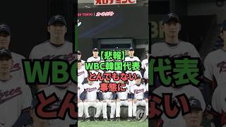【悲報】WBC韓国代表とんでもない事態に