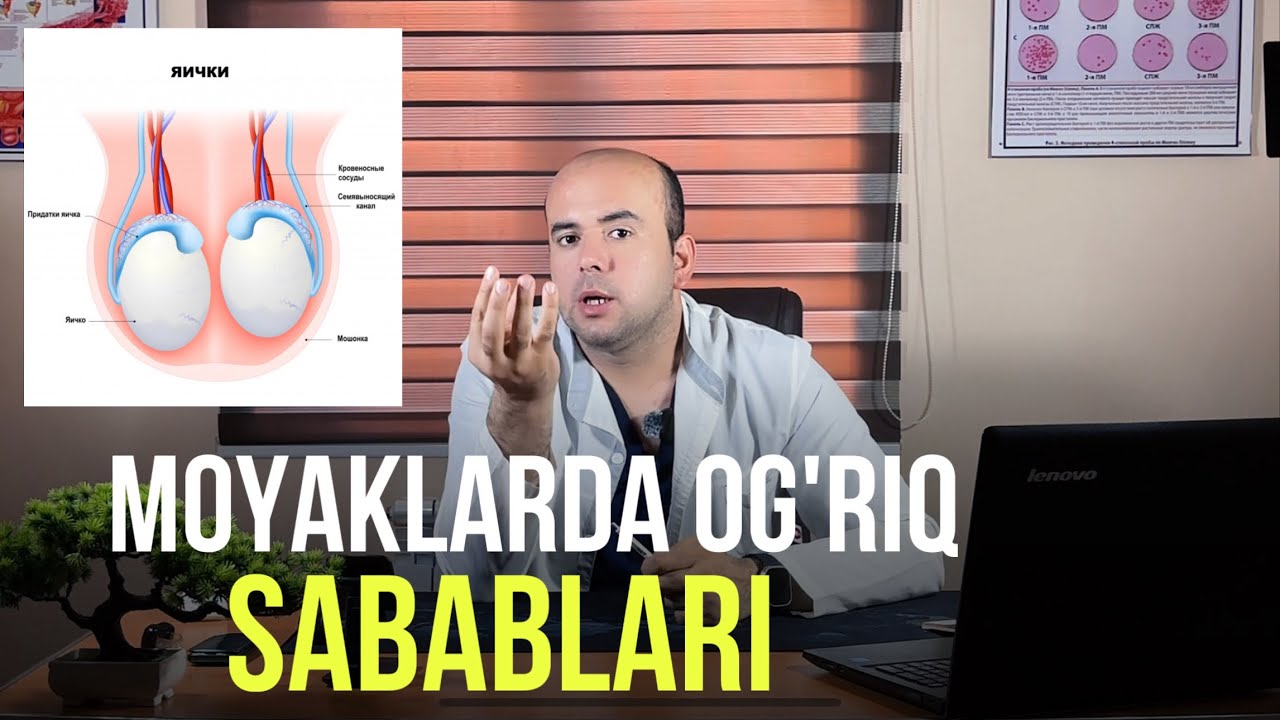 МОЯКЛАРДА ОҒРИК САБАБЛАРИ