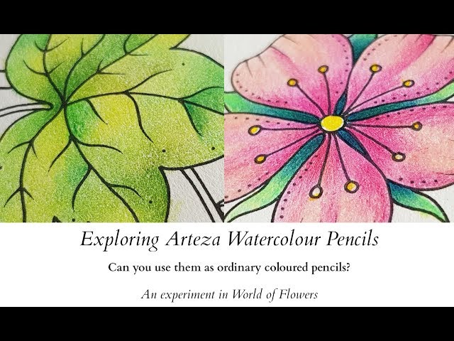 Arteza Watercolour Pencils in World of Flowers