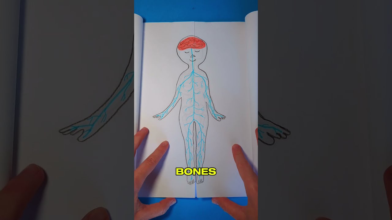 What S Inside Of Nancy Learn You Body Book 