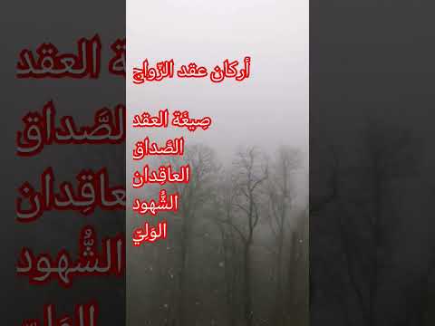 اركان عقد الزواج الحب الحقيقي