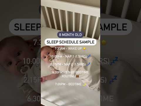 Sample Sleep Schedule for babies 8m! 💤