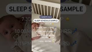 Sample Sleep Schedule for babies 8m! 💤 8 Month Sleep Schedule