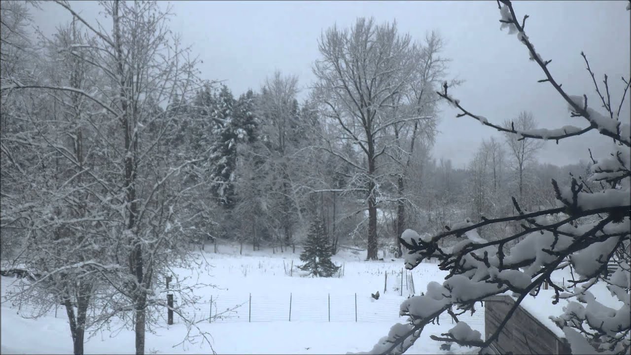 Timelapse of Winter in Southwest Washington
