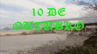 GO Surf curta 05