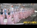 Amazing Food Processing Machines in Poultry Factory ★ Fast Workers Cutting &amp; Processing Chicken 2018