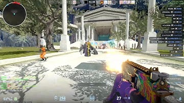 Average CS2 ZE FF/Laser Enjoyer Part 2