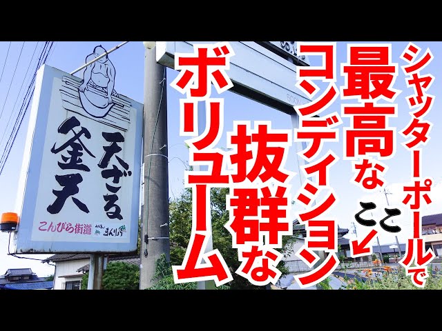 Super huge! ︎ Explosive Sanuki udon with two of the biggest