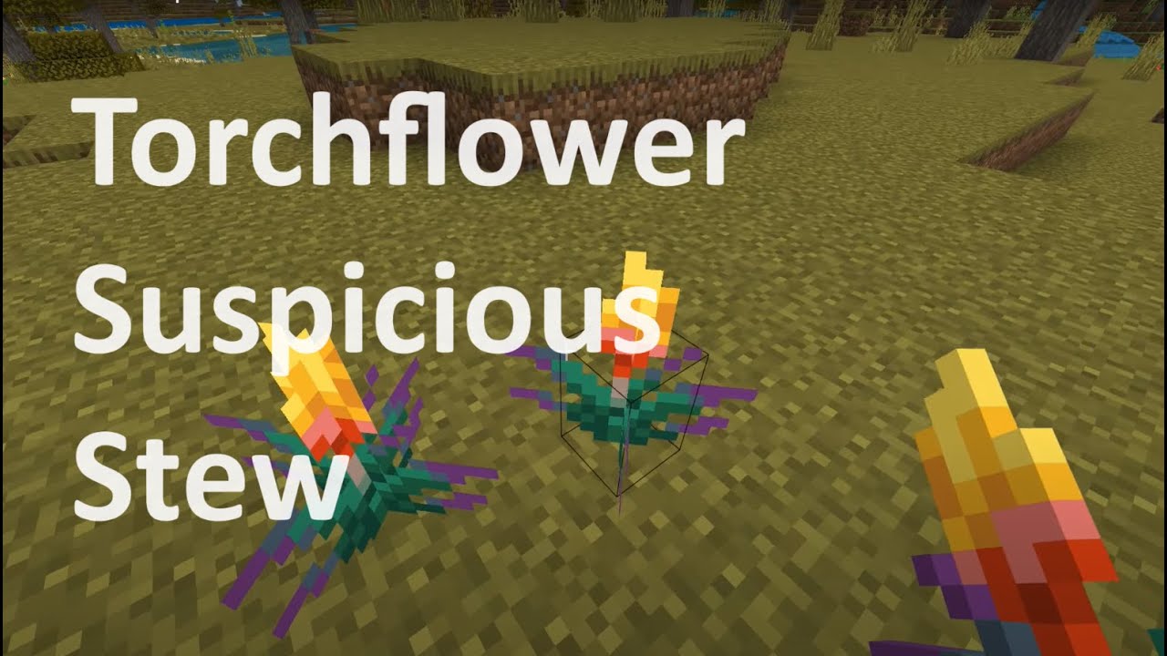 Minecraft Torchflower in Suspicious Stew YouTube