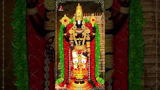 Venkateswara Swamy Devotional Songs | Chilukuri Maa Balaji Song | #YTShorts | Telugu Bhakti Patalu