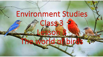 Class 3 Ch 8 ( video 4 knowing about nests  and feathers of birds )