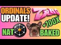 ORDINALS MARKET UPDATE! TRAC, NAT and BAKED Tokens