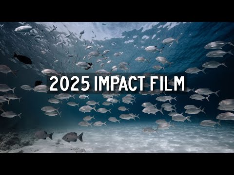 What we did in 2025