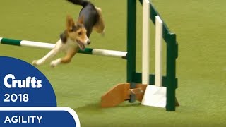 Agility - Kennel Club British Open Final (Agility) Part 1 | Crufts 2018