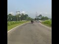Носороги на дороге