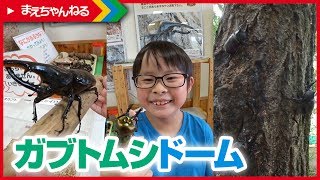 カブトムシドームや昆虫体験学習館！佐久平ハイウェイオアシス「パラダ」へ行ってきました！全国昆虫館めぐり#1 | まえちゃんねる