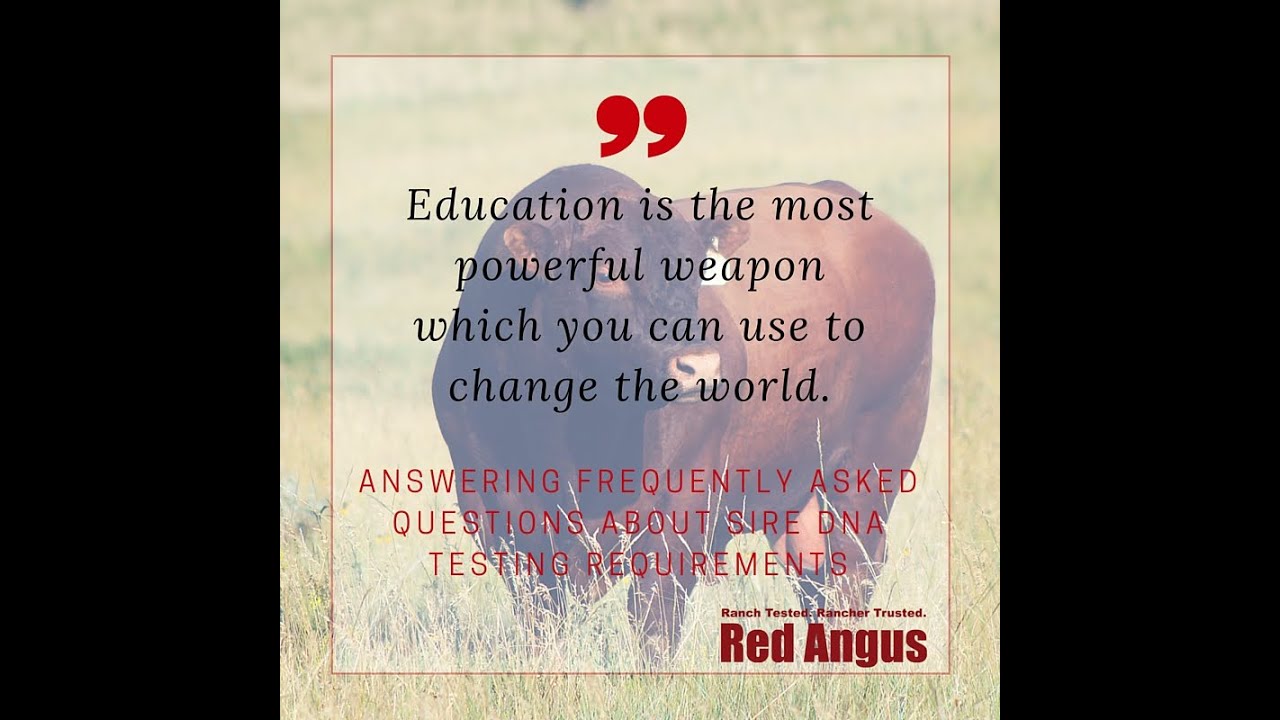 Sire DNA Testing Requirements