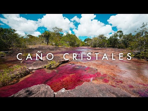 Βίντεο: Καταπληκτικός πλανήτης: ο πολύχρωμος ποταμός Caño Cristales
