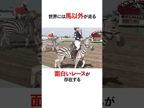 黒クルミ中毒から馬を守る！原因、症状、予防法まとめ