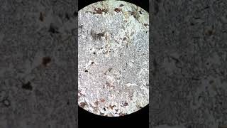 2162-40 | Andalusite / Andalousite (PPL)
