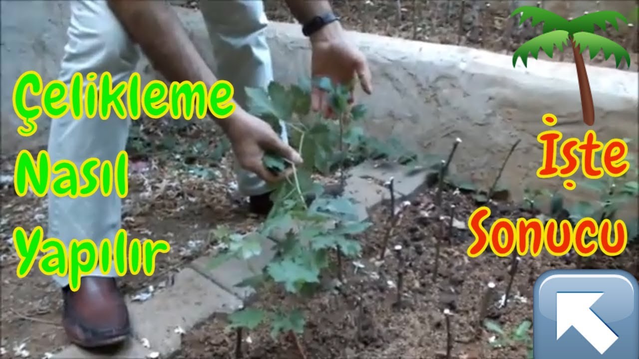 Baştan Sona Çelikten Köklendirme