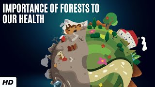 Importance Of Forests To Our Health Profile
