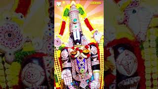 Tirupati Perumal Kudaigal | திருப்பதி குடைகள் வலம் #shorts | link in description