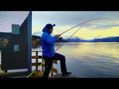 ПРАКТИКА ЛОВЛИ КАМБАЛЫ, ДЕЛЮСЬ ОПЫТОМ рыбалка в Норвегии с берега. Норвегия. Рыбалка. камбала