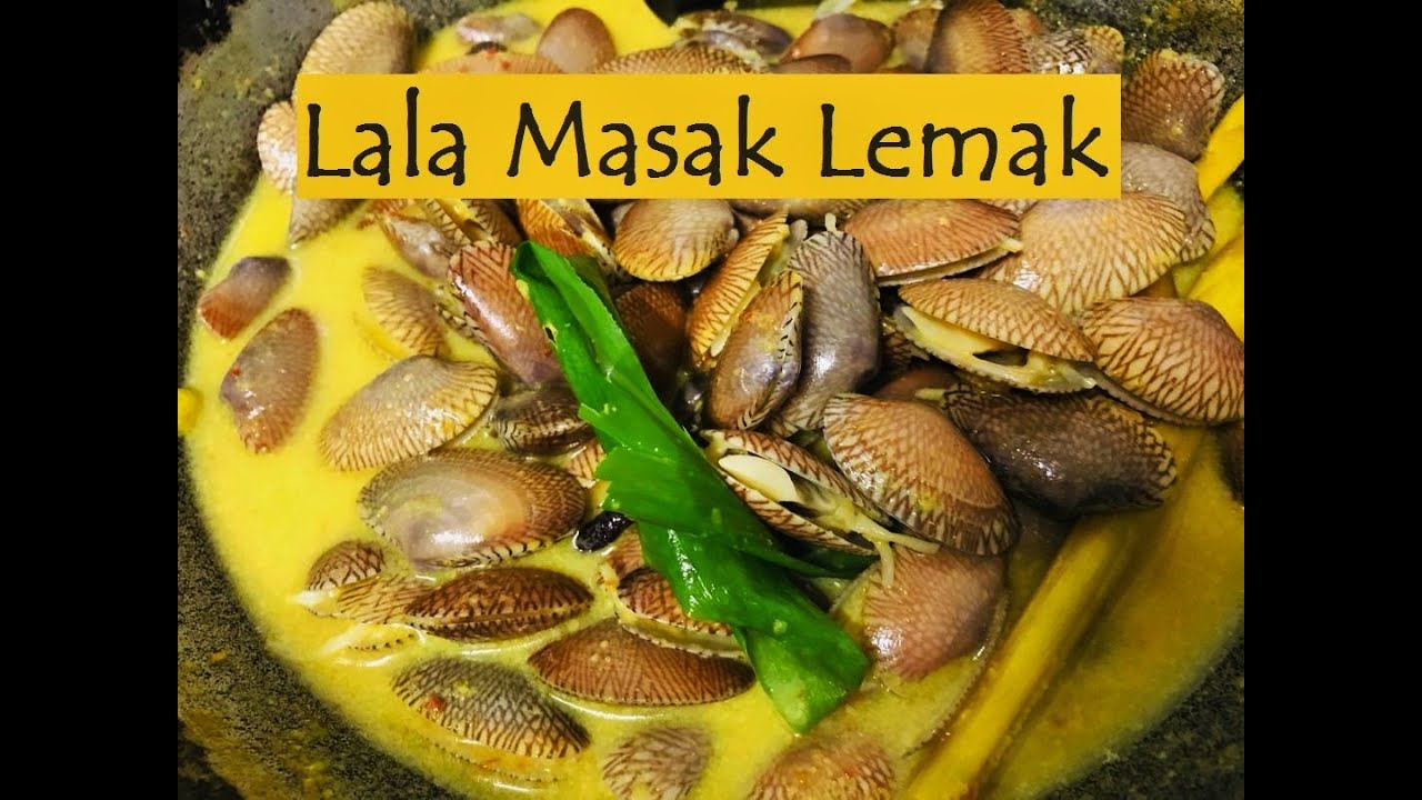 LALA MASAK LEMAK CILI API SEDAP DAN MUDAH - YouTube