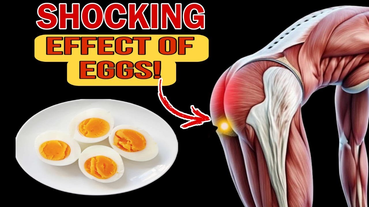 Eat 2 Eggs Daily – Effects on Body, Weight, Heart & Brain Health,