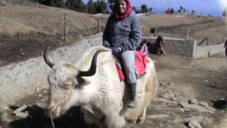 Namaste India ! - Part 4 - Shimla