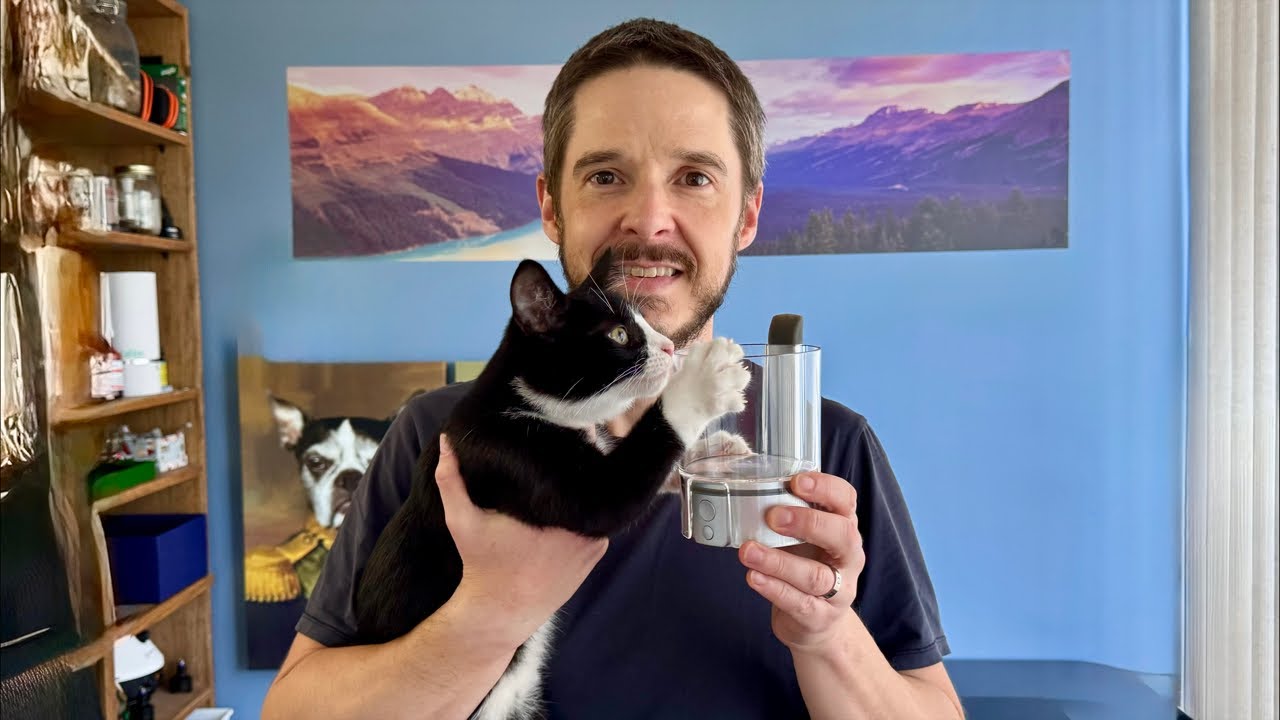 Tafee Bowle 2 - Demo / Q&A