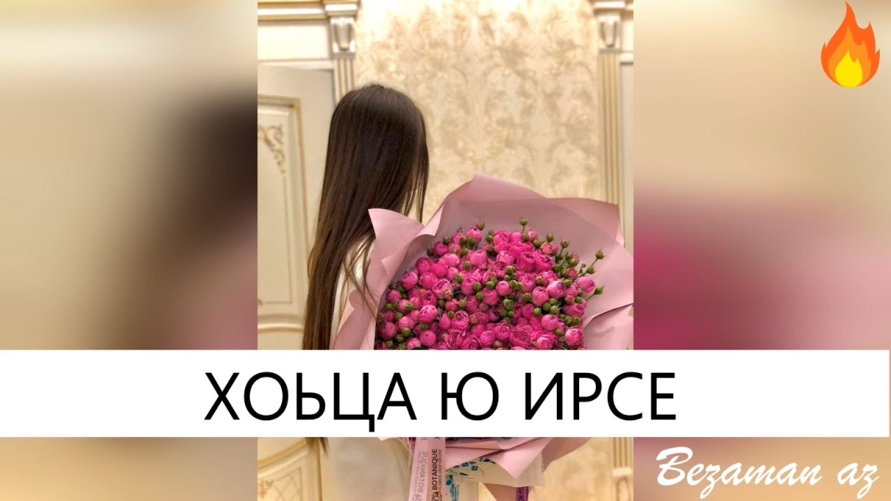 Со ирсе ю