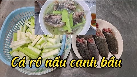 Cá rô nấu canh bầu //BA HÍ TV